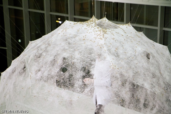 A perspective view of the completed Silk Pavilion and the basic research exhibit focusing on fiber density distribution studies.