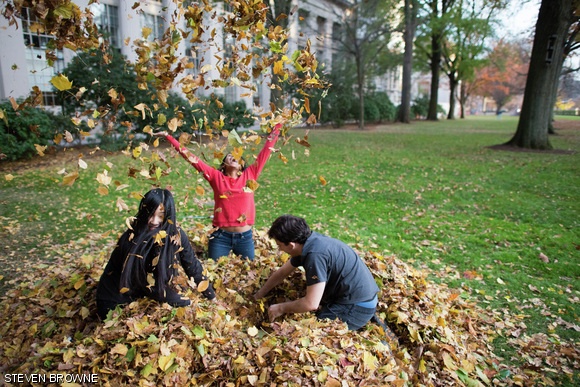(Left to right) Stephanie H. Chen ’15, Priya Garg ’15, and Blake M. Elias ’16 search and play in a leaf pile in Killian Court constructed by Clowns@MIT on Friday, Nov. 15. It was stuffed with wrapped candy bars.