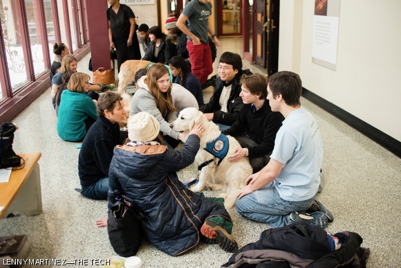 Students play with Gracie during the first Furry First Friday of the Spring semester. Students will be able to de-stress and enjoy some time with therapy dogs outside of Hayden Library on the first Friday of the month for the rest of the semester.