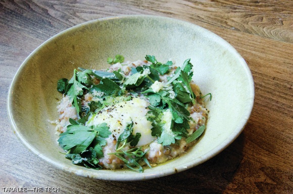 Pondemast from Loyal Nine in East Cambridge.