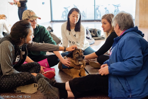 Students gather around therapy dogs during Wednesday’s Community Reflection. The reflection also included gentle music and an art project consisting of hundreds of paper stars “to represent the strength of our community.”